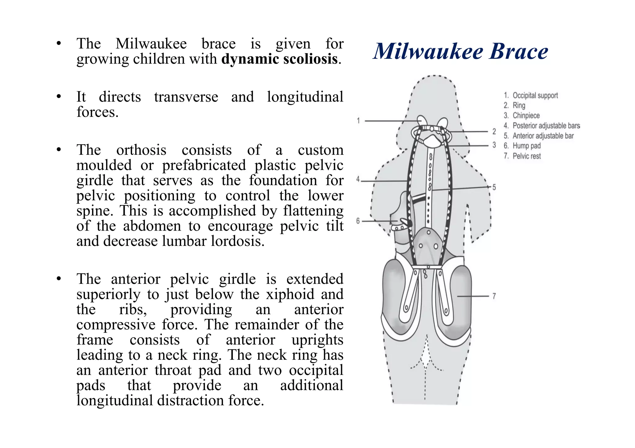 Milwaukee Brace• The Milwaukee brace is given for
growing children with dynamic scoliosis.
• It directs transverse and longitudinal
forces.
• The orthosis consists of a custom
moulded or prefabricated plastic pelvic
girdle that serves as the foundation for
pelvic positioning to control the lower
spine. This is accomplished by flattening
of the abdomen to encourage pelvic tilt
and decrease lumbar lordosis.
• The anterior pelvic girdle is extended
superiorly to just below the xiphoid and
the ribs, providing an anterior
compressive force. The remainder of the
frame consists of anterior uprights
leading to a neck ring. The neck ring has
an anterior throat pad and two occipital
pads that provide an additional
longitudinal distraction force.
 