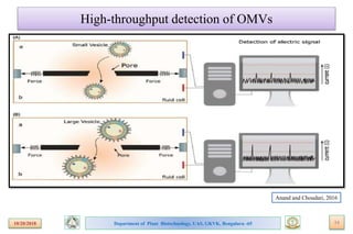Bioengineering bacterial outer membrane vesicles as vaccine platform | PPTX