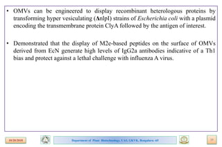 Bioengineering bacterial outer membrane vesicles as vaccine platform | PPTX