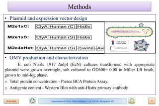 Bioengineering bacterial outer membrane vesicles as vaccine platform | PPTX