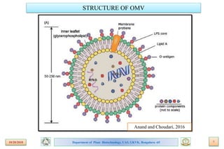 Bioengineering bacterial outer membrane vesicles as vaccine platform | PPTX