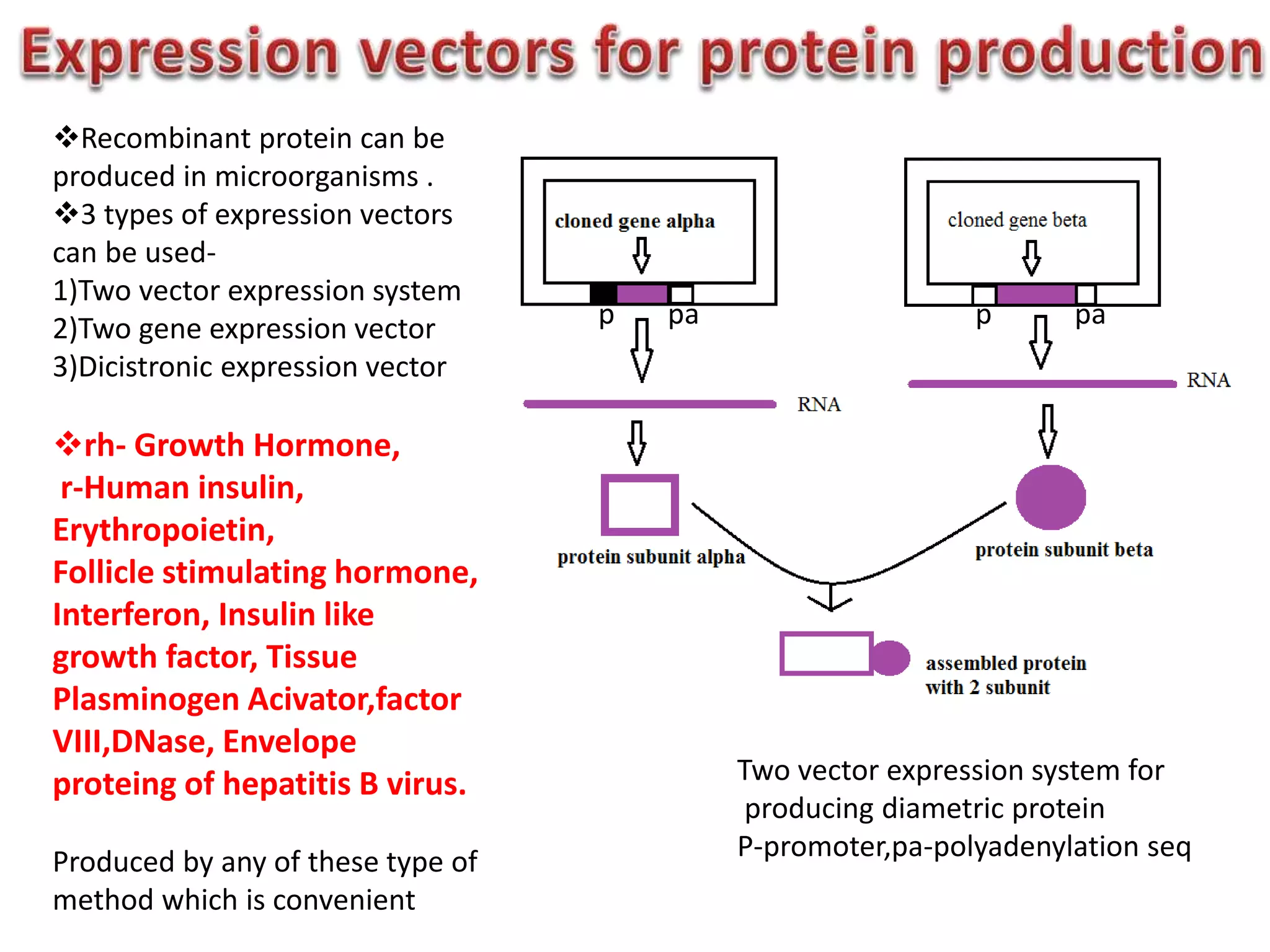 p ppa pa
Two vector expression system for
producing diametric protein
P-promoter,pa-polyadenylation seq
Recombinant protein can be
produced in microorganisms .
3 types of expression vectors
can be used-
1)Two vector expression system
2)Two gene expression vector
3)Dicistronic expression vector
rh- Growth Hormone,
r-Human insulin,
Erythropoietin,
Follicle stimulating hormone,
Interferon, Insulin like
growth factor, Tissue
Plasminogen Acivator,factor
VIII,DNase, Envelope
proteing of hepatitis B virus.
Produced by any of these type of
method which is convenient
 