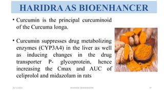 Ayurvedic Bioenhancers and its prevelance | PPTX
