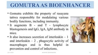 Ayurvedic Bioenhancers and its prevelance | PPTX