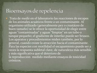  Trata de medir en el laboratorio las reacciones de escapes
  de los animales acuáticos frente a un contaminante. Al
  organismo utilizado (generalmente pez o crustáceo de
  buen tamaño) se le ofrece la oportunidad de elegir entre
  aguas "contaminadas" y aguas "limpias" en un tubo o
  tanque pequeño; el gradiente de interfaz puede ser brusco.
  Los aparatos y procedimientos miden también, por lo
  general, cuando existe la atracción hacia el contaminante.
  Para las especies con motilidad el escapamiento puede ser a
  veces la respuesta subletal clave, de naturaleza más sensible
  y más significativa que el deterioro de
  la reproducción medido mediante ensayos de toxicidad
  crónicos.
 