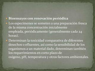  Bioensayos con renovación periódica
 Los especímenes se someten a una preparación fresca
  de la misma concentración inicialmente
  empleada, periódicamente (generalmente cada 24
  horas).
 Determinan la toxicidad comparativa de diferentes
  desechos o efluentes, así como la sensibilidad de los
  organismos a un material dado, determinan también
  los requerimientos en corto plazo de
  oxígeno, pH, temperatura y otros factores ambientales.
 