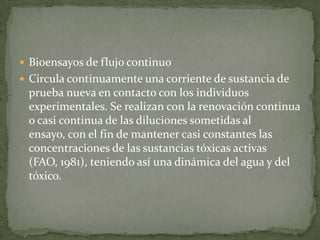 Bioensayos de flujo continuo
 Circula continuamente una corriente de sustancia de
 prueba nueva en contacto con los individuos
 experimentales. Se realizan con la renovación continua
 o casi continua de las diluciones sometidas al
 ensayo, con el fin de mantener casi constantes las
 concentraciones de las sustancias tóxicas activas
 (FAO, 1981), teniendo así una dinámica del agua y del
 tóxico.
 
