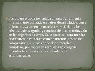  Los Bioensayos de toxicidad son una herramienta
 intensamente utilizada en países desarrollados, con el
 objeto de evaluar en forma efectiva y eficiente los
 efectos tóxicos agudos y crónicos de la contaminación
 en los organismos vivos. En la práctica, esta técnica
 cuantifica la relación concentración-efecto de
 compuestos químicos conocidos o mezclas
 complejas, por medio de respuestas biológicas
 medidas bajo condiciones controladas y
 estandarizadas
 