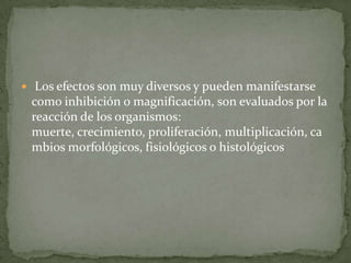 Los efectos son muy diversos y pueden manifestarse
 como inhibición o magnificación, son evaluados por la
 reacción de los organismos:
 muerte, crecimiento, proliferación, multiplicación, ca
 mbios morfológicos, fisiológicos o histológicos
 