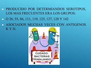 ▶ PRODUCIDO POR DETERMIANDOS SEROTIPOS,
LOS MAS FRECUENTES ERA LOS GRUPOS:
▶ O 26, 55, 86, 111, 119, 125, 127, 128 Y 142
▶ ASOCIADOS MUCHAS VECES CON ANTIGENOS
K Y H.
 