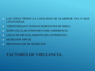 FACTORES DE VIRULENCIA.
▶ LAS CEPAS TIENEN LA CAPACIDAD DE ELABORAR UNA O MAS
CITOTOXINAS.
▶ VEROTOXINAS O TOXINAS SEMEJANTES DE SHIGA.
▶ DAÑO CELULAR CONOCIDO COMO ADHERENCIA
▶ LOCUS DE ESFACELAMIENTO DEL ENTEROCITO.
▶ SECRECION TIPO III
▶ PROTEINAS ESP DE SECRECION.
 
