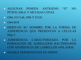 ▶ ALGUNAS POSEEN ANTIGENO “O” NO
PITIFICABLE Y MUCHAS CEPAS.
▶ O44, O111ab, O86 Y O126
▶ O44:H18
▶ DERIVAN SU NOMBRE POR LA FORMA DE
ADHERENCIA QUE PRESENTAN A CELULAS
Hep-2
▶ ADHERENCIA CARACTERIZADA POR LA
FORMACION DE AGREGADOS BACTERIANOS
CON APARIENCIA DE LADRILLOS APILADOS.
▶ DIAREA PERSISTENTES EN NIÑOS
 