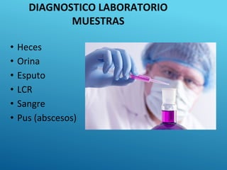 DIAGNOSTICO LABORATORIO
MUESTRAS
• Heces
• Orina
• Esputo
• LCR
• Sangre
• Pus (abscesos)
 