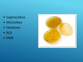 • Coprocultivo
• McConkey
• Hecktoen
• XLD
• EMB
 