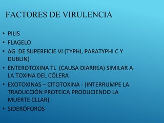 FACTORES DE VIRULENCIA
• PILIS
• FLAGELO
• AG DE SUPERFICIE VI (TYPHI, PARATYPHI C Y
DUBLIN)
• ENTEROTOXINA TL (CAUSA DIARREA) SIMILAR A
LA TOXINA DEL CÓLERA
• EXOTOXINAS – CITOTOXINA - (INTERRUMPE LA
TRADUCCIÓN PROTEICA PRODUCIENDO LA
MUERTE CLLAR)
• SIDERÓFOROS
 
