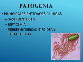 PATOGENIA
• PRINCIPALES ENTIDADES CLÍNICAS
– GASTROENTERITIS
– SEPTICEMIA
– FIEBRES ENTÉRICAS (TIFOIDEA Y
PARATIFOIDEA)
 