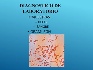 DIAGNOSTICO DE
LABORATORIO
• MUESTRAS
– HECES
– SANGRE
• GRAM: BGN
 