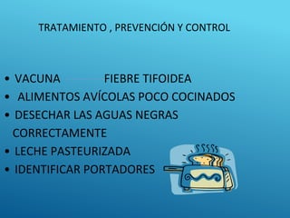 TRATAMIENTO , PREVENCIÓN Y CONTROL
• VACUNA FIEBRE TIFOIDEA
• ALIMENTOS AVÍCOLAS POCO COCINADOS
• DESECHAR LAS AGUAS NEGRAS
CORRECTAMENTE
• LECHE PASTEURIZADA
• IDENTIFICAR PORTADORES
 