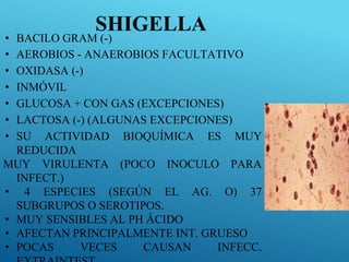 SHIGELLA
• BACILO GRAM (-)
• AEROBIOS - ANAEROBIOS FACULTATIVO
• OXIDASA (-)
• INMÓVIL
• GLUCOSA + CON GAS (EXCEPCIONES)
• LACTOSA (-) (ALGUNAS EXCEPCIONES)
• SU ACTIVIDAD BIOQUÍMICA ES MUY
REDUCIDA
MUY VIRULENTA (POCO INOCULO PARA
INFECT.)
• 4 ESPECIES (SEGÚN EL AG. O) 37
SUBGRUPOS O SEROTIPOS.
• MUY SENSIBLES AL PH ÁCIDO
• AFECTAN PRINCIPALMENTE INT. GRUESO
• POCAS VECES CAUSAN INFECC.
 