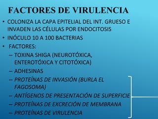 FACTORES DE VIRULENCIA
• COLONIZA LA CAPA EPITELIAL DEL INT. GRUESO E
INVADEN LAS CÉLULAS POR ENDOCITOSIS
• INÓCULO 10 A 100 BACTERIAS
• FACTORES:
– TOXINA SHIGA (NEUROTÓXICA,
ENTEROTÓXICA Y CITOTÓXICA)
– ADHESINAS
– PROTEÍNAS DE INVASIÓN (BURLA EL
FAGOSOMA)
– ANTÍGENOS DE PRESENTACIÓN DE SUPERFICIE
– PROTEÍNAS DE EXCRECIÓN DE MEMBRANA
– PROTEÍNAS DE VIRULENCIA
 