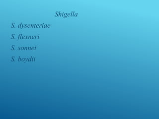 Shigella
S. dysenteriae
S. flexneri
S. sonnei
S. boydii
 