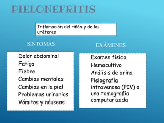 PIELONEFRITIS
SINTOMAS
▣ Dolor abdominal
▣ Fatiga
▣ Fiebre
▣ Cambios mentales
▣ Cambios en la piel
▣ Problemas urinarios
▣ Vómitos y náuseas
EXÁMENES
▣ Examen físico
▣ Hemocultivo
▣ Análisis de orina
▣ Pielografía
intravenosa (PIV) o
una tomografía
computarizada
Inflamación del riñón y de los
uréteres
 