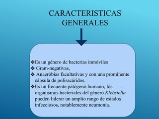 ❖Es un género de bacterias inmóviles
❖ Gram-negativas,
❖ Anaerobias facultativas y con una prominente
cápsula de polisacáridos.
❖Es un frecuente patógeno humano, los
organismos bacteriales del género Klebsiella
pueden liderar un amplio rango de estados
infecciosos, notablemente neumonía.
CARACTERISTICAS
GENERALES
 