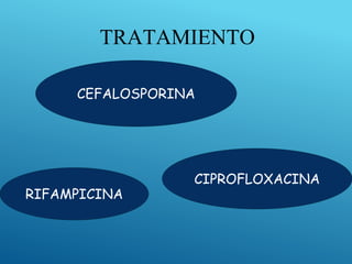 TRATAMIENTO
CEFALOSPORINA
RIFAMPICINA
CIPROFLOXACINA
 