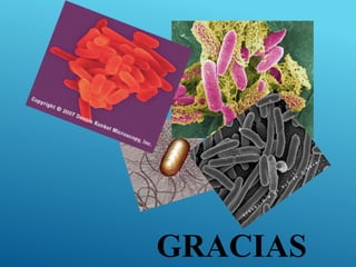 GRACIAS
 