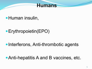 Human insulin,
Erythropoietin(EPO)
Interferons, Anti-thrombotic agents
Anti-hepatitis A and B vaccines, etc.
5
Humans
 