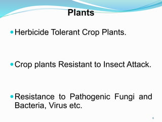 Plants
Herbicide Tolerant Crop Plants.
Crop plants Resistant to Insect Attack.
Resistance to Pathogenic Fungi and
Bacteria, Virus etc.
6
 
