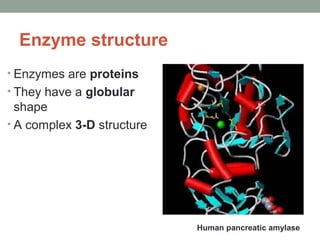 Bio enzymes | PPT
