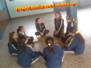 TOPOLOGÍA DEL ANILLO 