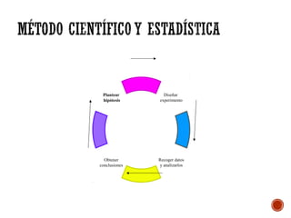 Plantear
hipótesis
Obtener
conclusiones
Recoger datos
y analizarlos
Diseñar
experimento
 