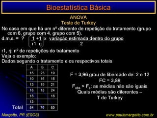 Bioestatística BásicaMREA apresentação dos Dados: Vejam a apresentação dos resultados:       RR (95% IC)Ingesta hídrica menor x maiorDuctus arteriosus patenteHemorragia peri/intraventricularEfeitos colaterais do uso da dexametasona na DBPHiperglicemiaHipertrofia do miocárdioQuando a linha horizontal estiver a esquerda (RR<1) redução do evento; quando à direita (RR> 1): aumento do evento Toda vez que a linha horizontal tocar a linha vertical significa qu o RR não é significativo11Margotto, PR (ESCS)www.paulomargotto.com.br