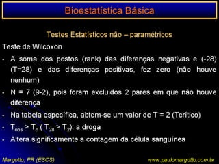  Opinião de especialistas (professores)
