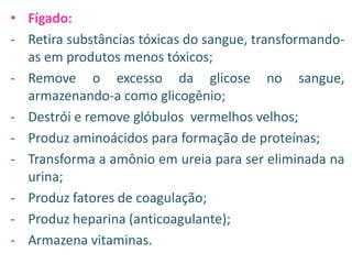 • Fígado:
- Retira substâncias tóxicas do sangue, transformandoas em produtos menos tóxicos;
- Remove o excesso da glicose no sangue,
armazenando-a como glicogênio;
- Destrói e remove glóbulos vermelhos velhos;
- Produz aminoácidos para formação de proteínas;
- Transforma a amônio em ureia para ser eliminada na
urina;
- Produz fatores de coagulação;
- Produz heparina (anticoagulante);
- Armazena vitaminas.

 