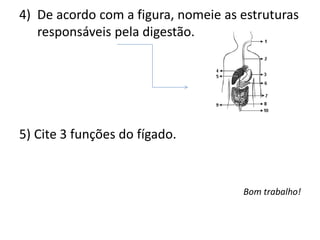 4) De acordo com a figura, nomeie as estruturas
responsáveis pela digestão.

5) Cite 3 funções do fígado.

Bom trabalho!

 
