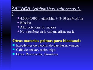 4.000-6.000 l. etanol/ha +  8-10 tm M.S./ha Rústica Alto potencial de mejora No interfiere en la cadena alimentaria Otras materias primas para bioetanol: Excedentes de alcohol de destilerías vínicas Caña de azúcar, maíz, trigo Otras: Remolacha, chumbera PATACA   ( Helianthus   tuberosus  L. ) 