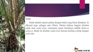 Salak
Salak adalah sejenis palma dengan buah yang biasa dimakan. Ia
dikenal juga sebagai sala (Thai). Dalam bahasa Inggris disebut
salak atau snake fruit, sementara nama ilmiahnya adalah Salacca
zalacca. Buah ini disebut snake fruit karena kulitnya mirip dengan
sisik ular.
Page 10 of 28
 