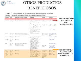 OTROS PRODUCTOS
                            BENEFICIOSOS
Tabla IV: Tabla con parte de los subproductos beneficiosos que se pueden
obtener a través de la producción de bioetanol. (Cardona, 2007.)

                                                                            LEVADURA COMO
                                                                              SUPLEMENTO
                                                                                 PARA
                                                                             ALIMENTACIÓN.




                                                                            ALIMENTO PARA
                                                                              GANADO CON
                                                                           ALTO PORCENTAJE
                                                                             DE PROTEÍNAS.
 