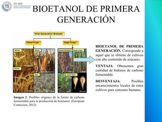 BIOETANOL DE PRIMERA
                   GENERACIÓN

                                                         BIOETANOL DE PRIMERA
                                                         GENERACIÓN. Corresponde a
                                                         aquel que se obtiene de cultivos
                                                         con alto contenido de azúcares.
                                                         VENTAJA: Obtenemos gran
                                                         cantidad de hidratos de carbono
                                                         fermentable.
                                                         DESVENTAJA:             Posibles
                                                         encarecimientos locales de estos
                                                         cultivos para consumo humano.

Imagen 2: Posibles orígenes de la fuente de carbono
fermentable para la producción de bioetanol. (European
Comission, 2012)
 