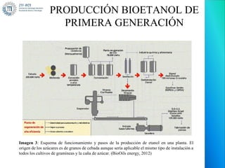 PRODUCCIÓN BIOETANOL DE
                   PRIMERA GENERACIÓN




Imagen 3: Esquema de funcionamiento y pasos de la producción de etanol en una planta. El
origen de los azúcares es de granos de cebada aunque sería aplicable el mismo tipo de instalación a
todos los cultivos de gramíneas y la caña de azúcar. (BioOils energy, 2012)
 