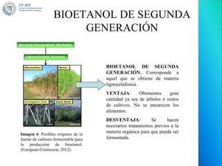 BIOETANOL DE SEGUNDA
                       GENERACIÓN


                                     BIOETANOL DE SEGUNDA
                                     GENERACIÓN. Corresponde a
                                     aquel que se obtiene de materia
                                     lignocelulósica.
                                     VENTAJA:        Obtenemos      gran
                                     cantidad ya sea de árboles ó restos
                                     de cultivos. No se encarecen los
                                     alimentos.
                                     DESVENTAJA:           Se      hacen
                                     necesarios tratamientos previos a la
Imagen 4: Posibles orígenes de la
                                     materia orgánica para que pueda ser
fuente de carbono fermentable para   fermentada.
la producción de bioetanol.
(European Comission, 2012)
 