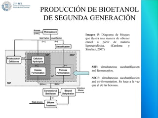 PRODUCCIÓN DE BIOETANOL
 DE SEGUNDA GENERACIÓN

          Imagen 5: Diagrama de bloques
          que ilustra una manera de obtener
          etanol a partir de materia
          lignocelulósica.   (Cardona     y
          Sánchez, 2007)




              SSF: simultaneous saccharification
              and fermentation.

              SSCF: simultaneous saccharification
              and co-fermentation. Se hace a la vez
              que el de las hexosas.
 