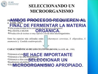 SELECCIONANDO UN
                         MICROORGANISMO

 AMBOS PROCESOS REQUIEREN AL
FERMENTACIÓN ALCOHÓLICA  USO DE LEVADURAS (DEL CASTILLO,
L. Y COL, 1997).
 FINAL DE FERMENTAR LA MATERIA
Alta productividad en la conversión de azúcares a bioetanol.
Se DESTILA MEJOR.            ORGÁNICA.
Producción de toxinas es muy inferior a la de otros microorganismos.

Entre las especies más utilizadas están: Saccharomyces cerevisiae, S. ellipsoideus, S.
anamensisi y Candida seudotropicalis.


CARACTERÍSTICAS DE LOS CULTIVOS (DEVINE, S. J. ET. AL , 1980)

         SE HACE IMPORTANTE
•Tolerancia al etanol.
•Tolerancia a las altas temperaturas.
           SELECCIONAR UN
•Tolerancia a altas concentraciones de azúcar.
•Rendimiento alcohólico.
     MICROORGANISMO APROPIADO.
•Eficiencia en la fermentación y productividad.
 