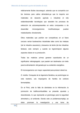 Obtención de Bioetanol a partir del almidón de maíz 
16 
relativamente fáciles deconseguir, además que no competiría con 
los terrenos para cultivo alimentario,ya que la mayoría son 
materiales de desecho agrícola o industrial; el reto 
estáendesarrollar tecnologías que abaraten los procesos de 
extracción de azúcarespresentes en estos compuestos o de 
desarrollar microorganismos modificadosque puedan 
metabolizarlos directamente. 
Otros materiales que podrían ser competitivas en un futuro 
cercano serian losdesechos industriales tales como las melazas 
(de la industria azucarera) y lossueros de leche (de las industrias 
lácteas); esto siempre y cuando se logrenmejorar algunos 
aspectos claves en su producción. 
Todas las materias primas generan coproductos de un 
significativo valoragregado, que pueden ser destinados con éxito 
para la alimentación del ganado,por su contenido energético. 
El microorganismo con mayor capacidad para producir etanol es 
Z. mobilis. Conayuda de la Ingeniería Genética, se podrá lograr en 
esta bacteria, una mayorgama de fuentes de carbono 
fermentables. 
En el Perú, ante la falta de claridades en la información, la 
promoción de losBiocombustibles se presenta apurada y 
desordenada, lo que representa un granriesgo para la seguridad 
alimentaria y el ambiente. Siendo este un problemacomplejo, se 
debe promover la investigación y una toma de 
 