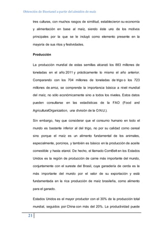 Obtención de Bioetanol a partir del almidón de maíz 
21 
tres culturas, con muchos rasgos de similitud, establecieron su economía 
y alimentación en base al maíz, siendo éste uno de los motivos 
principales por la que se le incluyó como elemento presente en la 
mayoría de sus ritos y festividades. 
Producción 
La producción mundial de estas semillas alcanzó los 883 millones de 
toneladas en el año 2011 y prácticamente lo mismo el año anterior. 
Comparando con los 704 millones de toneladas de trigo o los 723 
millones de arroz, se comprende la importancia básica a nivel mundial 
del maíz, no sólo económicamente sino a todos los niveles. Estos datos 
pueden consultarse en las estadísticas de la FAO (Food and 
AgriculturalOrganization, una división de la O.N.U.). 
Sin embargo, hay que considerar que el consumo humano en todo el 
mundo es bastante inferior al del trigo, no por su calidad como cereal 
sino porque el maíz es un alimento fundamental de los animales, 
especialmente, porcinos, y también es básico en la producción de aceite 
comestible y hasta etanol. De hecho, el llamado CornBelt en los Estados 
Unidos es la región de producción de carne más importante del mundo, 
conjuntamente con el sureste del Brasil, cuya ganadería de cerda es la 
más importante del mundo por el valor de su exportación y está 
fundamentada en la rica producción de maíz brasileña, como alimento 
para el ganado. 
Estados Unidos es el mayor productor con el 30% de la producción total 
mundial, seguidos por China con más del 20%. La productividad puede 
 