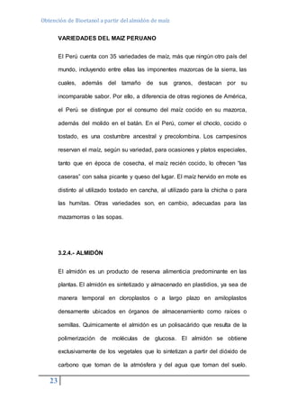 Obtención de Bioetanol a partir del almidón de maíz 
23 
VARIEDADES DEL MAIZ PERUANO 
El Perú cuenta con 35 variedades de maíz, más que ningún otro país del 
mundo, incluyendo entre ellas las imponentes mazorcas de la sierra, las 
cuales, además del tamaño de sus granos, destacan por su 
incomparable sabor. Por ello, a diferencia de otras regiones de América, 
el Perú se distingue por el consumo del maíz cocido en su mazorca, 
además del molido en el batán. En el Perú, comer el choclo, cocido o 
tostado, es una costumbre ancestral y precolombina. Los campesinos 
reservan el maíz, según su variedad, para ocasiones y platos especiales, 
tanto que en época de cosecha, el maíz recién cocido, lo ofrecen “las 
caseras” con salsa picante y queso del lugar. El maíz hervido en mote es 
distinto al utilizado tostado en cancha, al utilizado para la chicha o para 
las humitas. Otras variedades son, en cambio, adecuadas para las 
mazamorras o las sopas. 
3.2.4.- ALMIDÓN 
El almidón es un producto de reserva alimenticia predominante en las 
plantas. El almidón es sintetizado y almacenado en plastidios, ya sea de 
manera temporal en cloroplastos o a largo plazo en amiloplastos 
densamente ubicados en órganos de almacenamiento como raíces o 
semillas. Químicamente el almidón es un polisacárido que resulta de la 
polimerización de moléculas de glucosa. El almidón se obtiene 
exclusivamente de los vegetales que lo sintetizan a partir del dióxido de 
carbono que toman de la atmósfera y del agua que toman del suelo. 
 