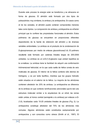 Obtención de Bioetanol a partir del almidón de maíz 
24 
Durante este proceso la energía solar se transforma y se almacena en 
forma de glucosa. El almidón está formado por dos tipos de 
polisacáridos muy similares, la amilosa y la amilopectina. En casos como 
el de los cereales, el almidón puede contener componentes menores 
tales como lípidos. La composición de amilosa y amilopectina es el factor 
principal que le confiere las propiedades funcionales al almidón. Estos 
polímeros de glucosa se encuentran en proporciones diferentes 
dependiendo de la fuente de obtención del almidón y de diversas 
variables ambientales. La amilosa es el producto de la condensación de 
D-glucopiranosas por medio de enlaces glucosídicosα(1,4). El polímero 
resultante está formado por cadenas lineales largas de 200-2500 
unidades. La amilosa es un α-D-(1,4)-glucano cuya unidad repetitiva es 
la α-maltosa. La amilosa tiene la facilidad de adquirir una conformación 
tridimensional helicoidal, en la que cada vuelta de hélice consta de seis 
moléculas de glucosa. El interior de la hélice contiene sólo átomos de 
hidrógeno, y es por tanto lipofílico, mientras que los grupos hidroxilo 
están situados en el exterior de la hélice. La mayoría de los almidones 
contienen alrededor de 25% de amilosa. La amilopectina se diferencia 
de la amilosa en que contiene ramificaciones adicionales que le dan una 
estructura molecular similar a la arquitectura de un árbol; las ramas 
están unidas al tronco central (semejante a la amilosa) por enlaces α-D- 
(1,6), localizadas cada 15-25 unidades lineales de glucosa (Fig. 2). La 
amilopectina constituye alrededor del 75% de los almidones más 
comunes. Algunos almidones están constituidos exclusivamente por 
amilopectina y son conocidos como céreos (Smith et ál., 1997). El 
 